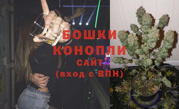хмурый Бронницы