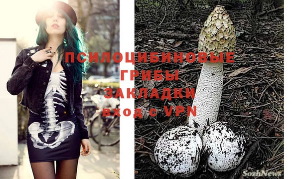 хмурый Бронницы