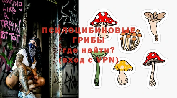 хмурый Бронницы