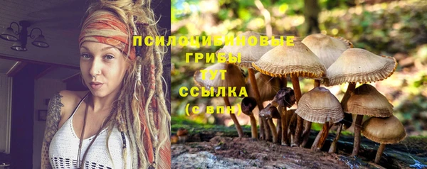 меф Бородино