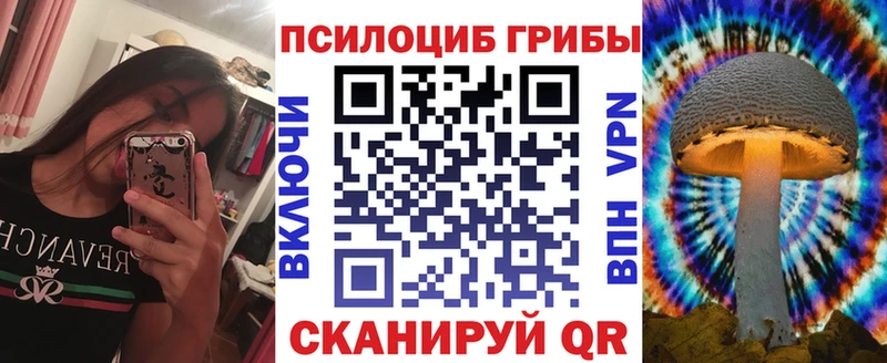 Купить где  Балтийск  Псилоцибиновые грибы Cubensis 